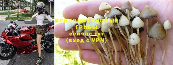 ALPHA-PVP Алексин