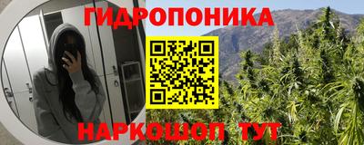 крисы Усинск