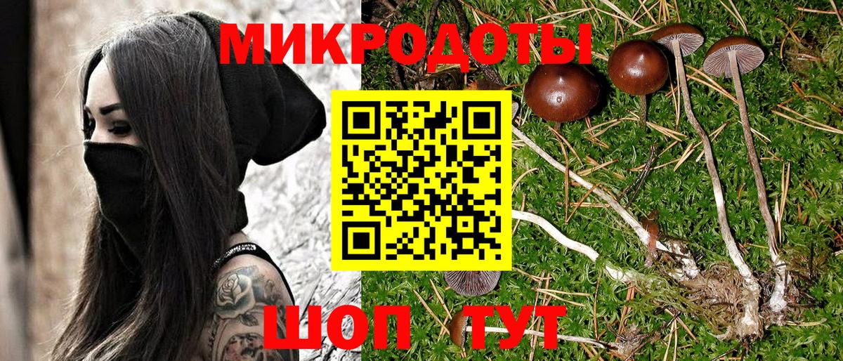 Псилоцибиновые грибы GOLDEN TEACHER Аргун